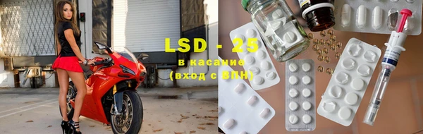 PSILOCYBIN Вяземский