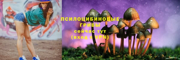 PSILOCYBIN Вяземский