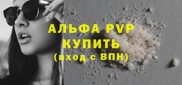 PSILOCYBIN Вяземский