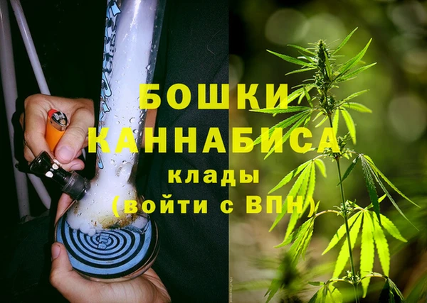 СК Горно-Алтайск