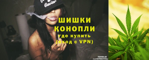 PSILOCYBIN Вяземский