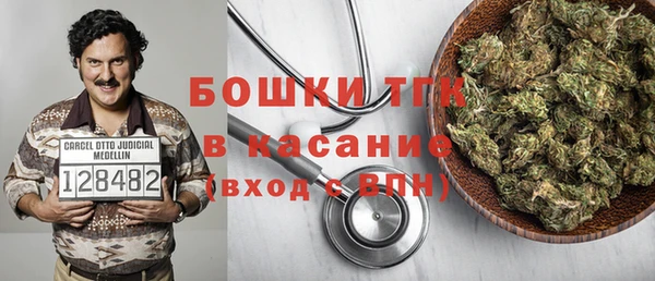 PSILOCYBIN Вяземский