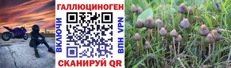 Псилоцибиновые грибы MAGIC MUSHROOMS  Куровское 